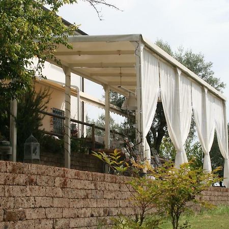 B&B La Casina Di Parrana Коллесальветти Экстерьер фото